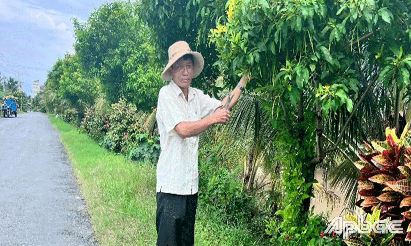 Vườn cây báo Đảng: Nơi lưu giữ kỷ niệm và tinh thần cách mạng