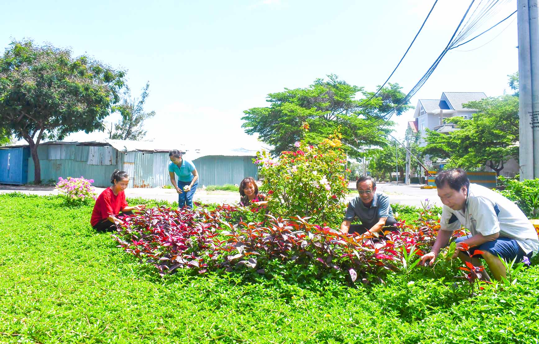 Vườn cây báo Đảng: Nơi lưu giữ kỷ niệm và tinh thần cách mạng